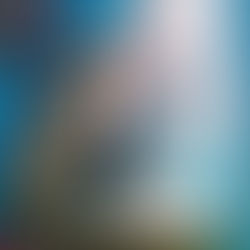 戀愛修行：收貓奇緣－宇宙會把對的人送來