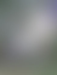 真相 EP3:蓋婭之星-夢是直接反應日常言行無意識的出口