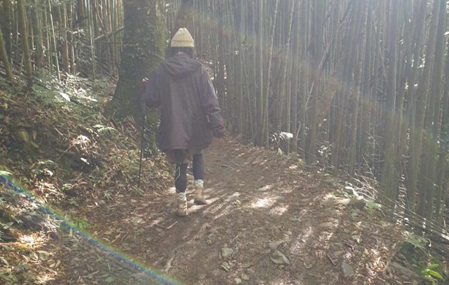 真相 EP10:拉娜達雅-沒有植物是不神聖的,連結從好好吃飯開始
