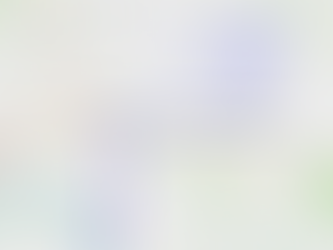 Sag Wagon to Lowe Park ride