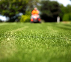 Screenshot 2025-04-24 at 4.25.25 PM.png