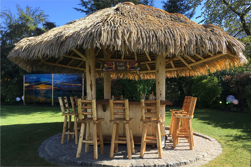 Hình thu nhỏ: Palmex Rioha Thatch