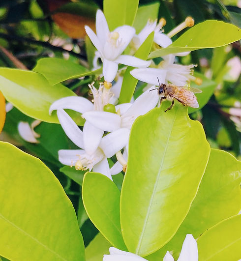 20180427_092458~2.jpg