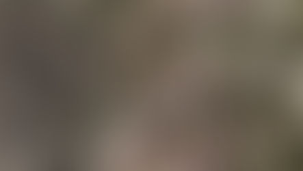 Mastering the Art of Curing and Storing Cannabis: A Mold-Free Guide