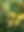 Lemons.jpg