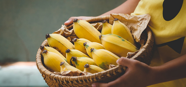 Alimentação Saudável para Crianças