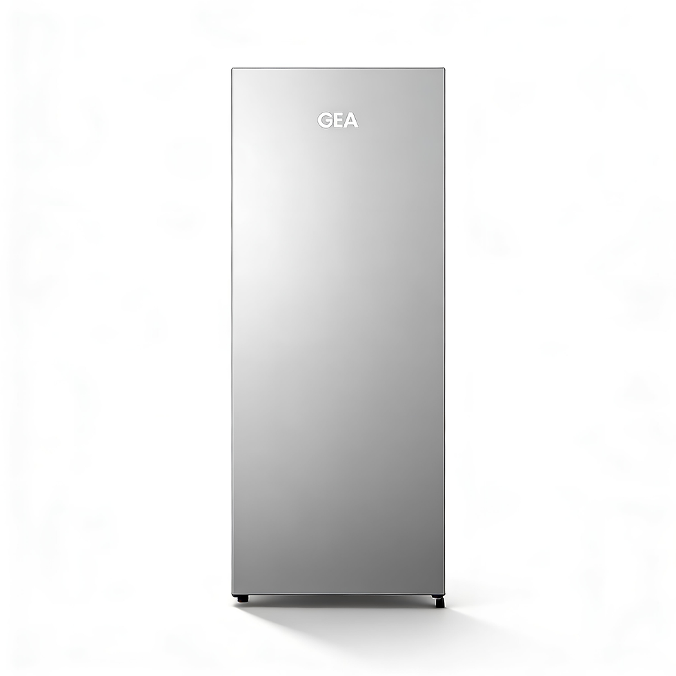 GEA UPRIGHT FREEZER GF-24DC