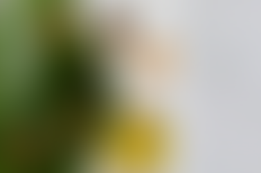 What Using Delta-8 Feels Like The First Time