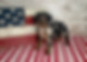 IMG_2512.jpeg