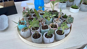Concrete Workshop - Concrete flower pot
