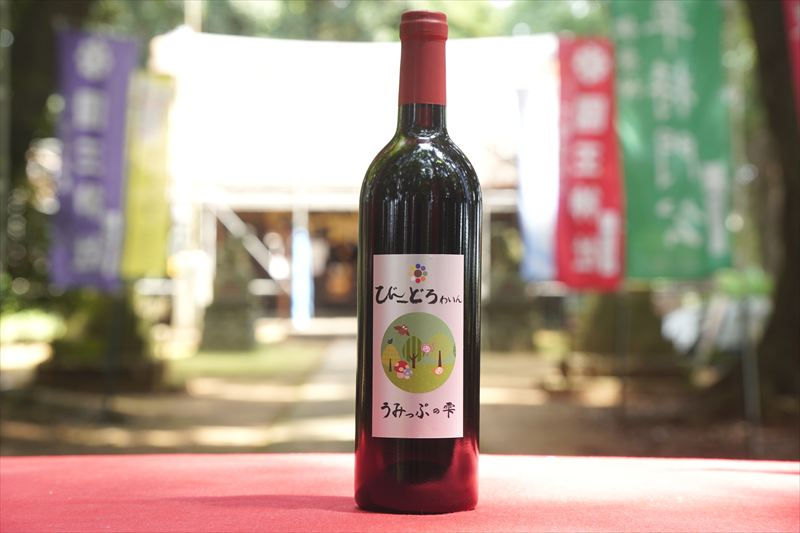 うみっぷの雫　赤ワイン　ヤマソーヴィニヨン