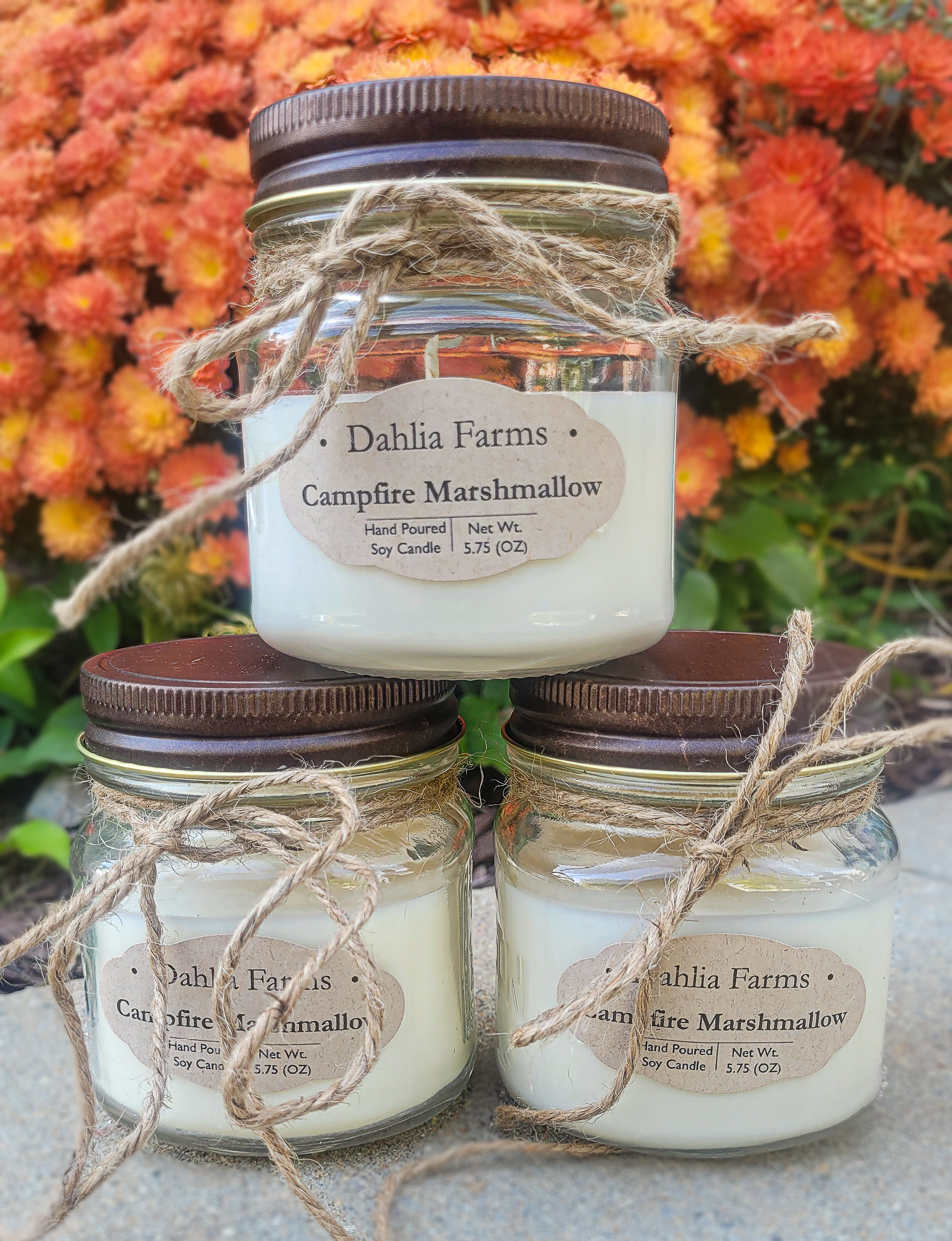 Campfire Marshmallow 5.75oz Soy Candle