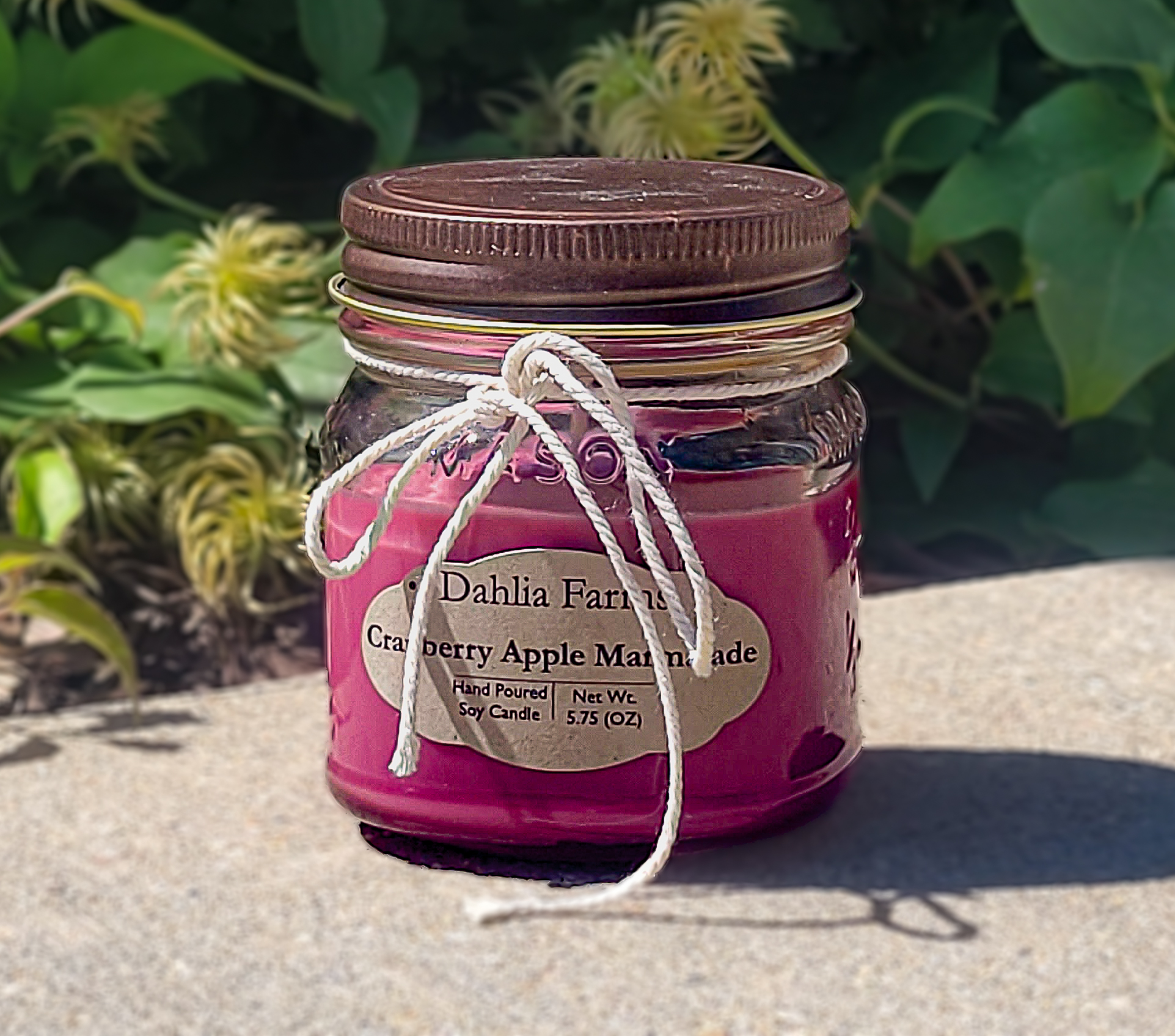 Cranberry Apple Marmalade 5.75oz Soy Candle