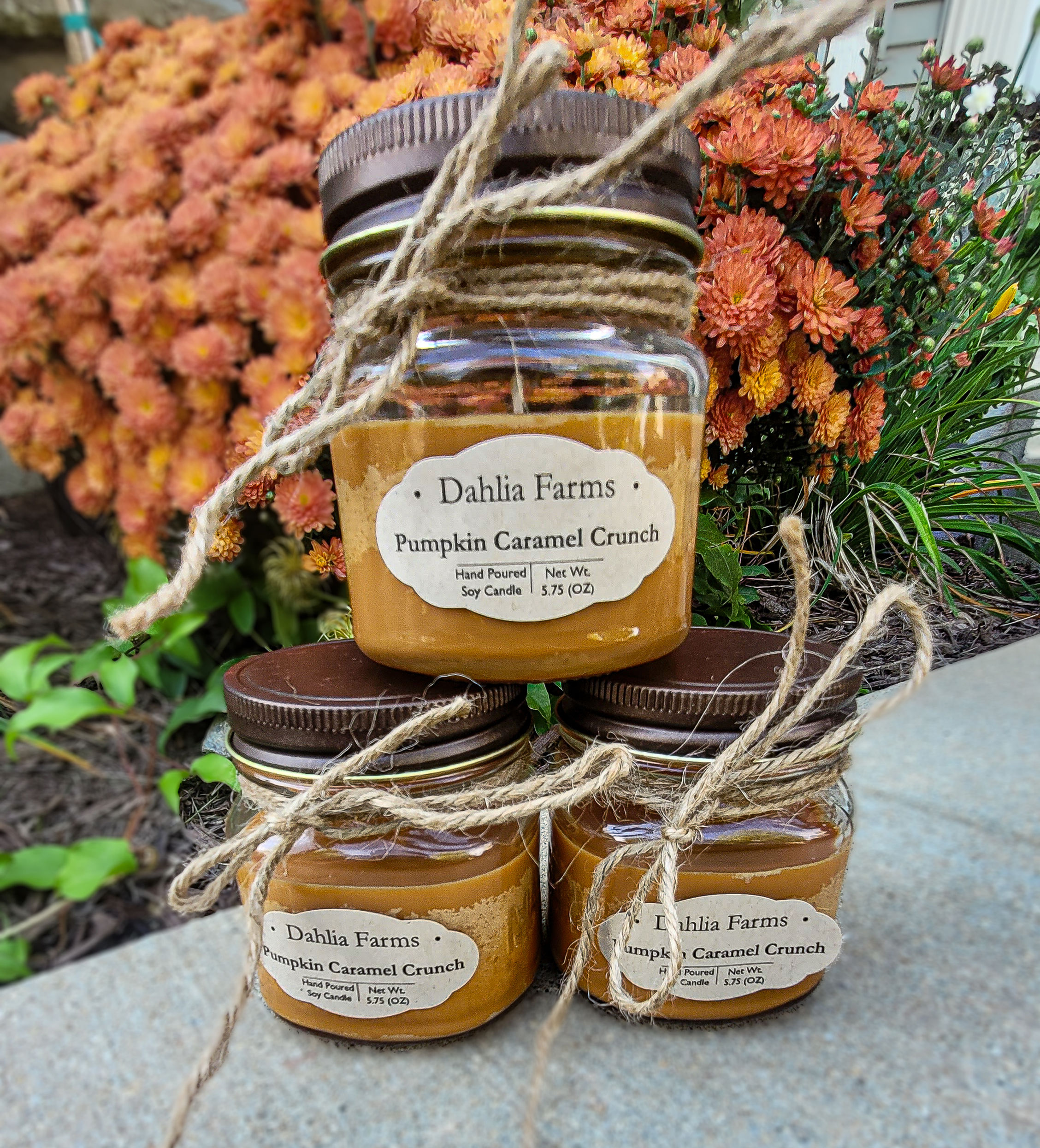 Pumpkin Caramel Crunch 5.75oz Soy Candle