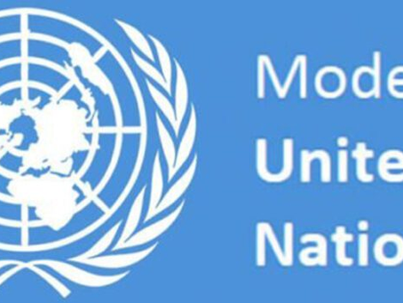 Inside the World of Model United Nations: A Participant's Journey