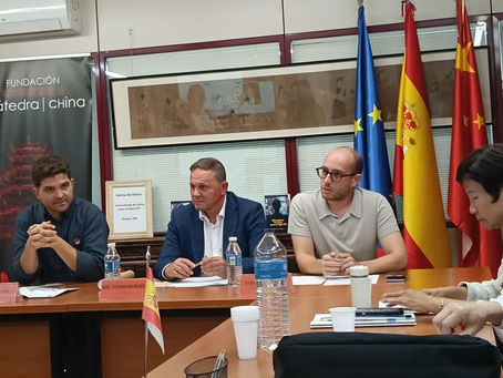 Panel Discussion at Cátedra China in Madrid