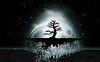 life tree 2.jpeg