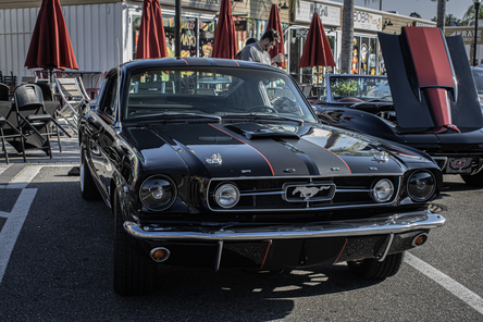 Black Mustang