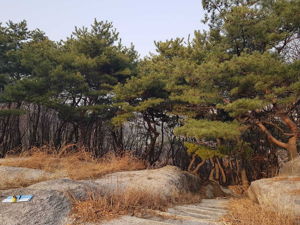 El tiempo no vuelve. El tiempo no se repite. 