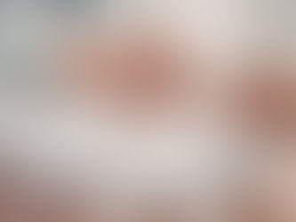 外国人ドライバー受け入れ完全ガイド特定技能の要件・手続き・費用を図解で解説【2026年最新版】