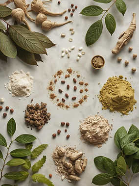 Matières premières utilisées pour la fabrication de suppléments et produits de santé