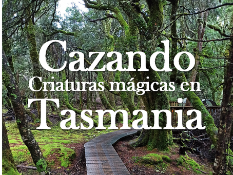 Cazando criaturas mágicas en Tasmania