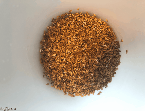 347px4.gif