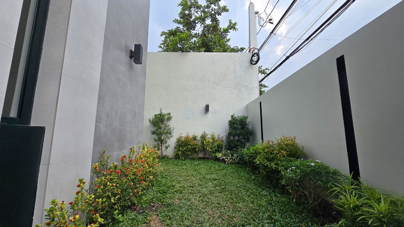 Modern Single Detached House and Lot For Sale in Paranaque