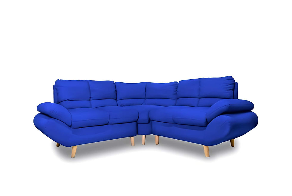 Miniatura: Modular Salernitana