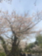 ree
