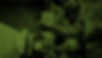cs header.jpg