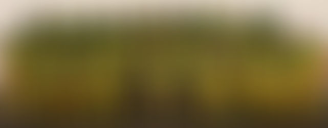 Reggae Warriors set to face Wales in Neath