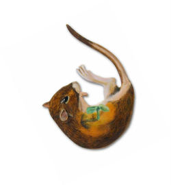 Kangaroo Rat Resurrected *Sold*