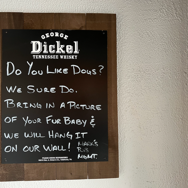 Bring your dog, we are dog-friendly!