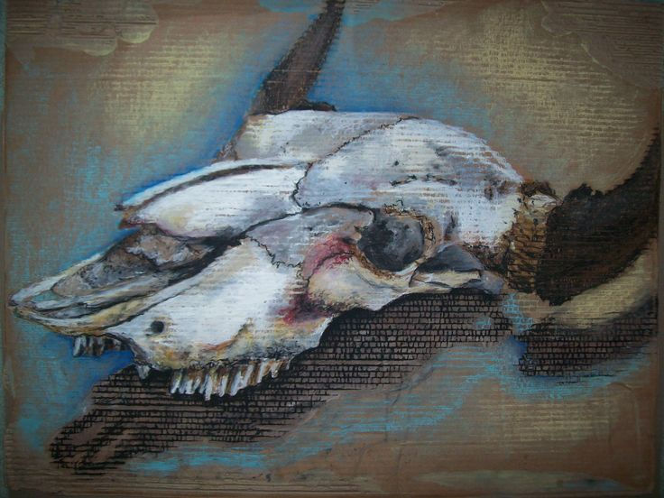 skull.jpg