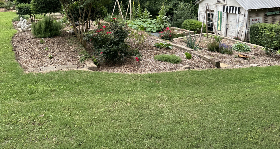 Lawn Games