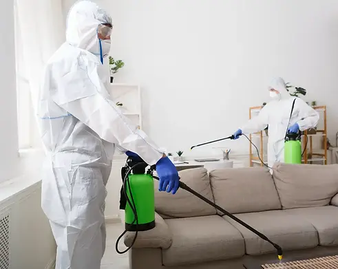 Pest control services in Boiling Springs SC
