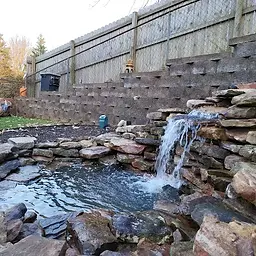 2024-03-31 (7).webp