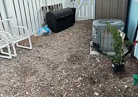 grow with the flow 4.webp