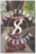 southern integrityy.webp