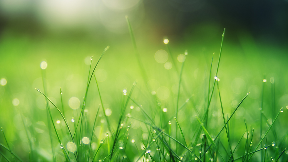 Untitled design-42d936f9-1920w (1).png