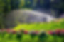 AdobeStock_290334756-2048x1365.jpeg