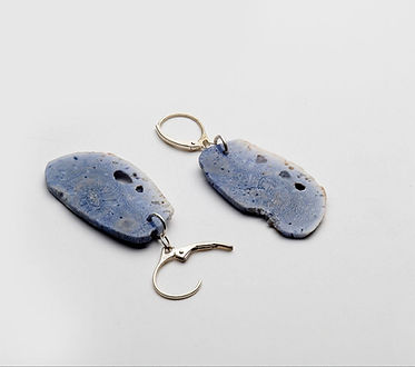 Petrified Coral Earrings with Leaver Back Ear Wire.jpg