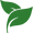 herbal-spa-treatment-leaves (1).png