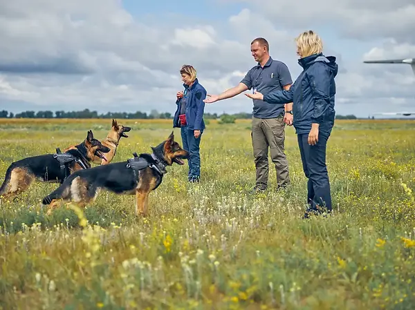 Dog Training in Newport News, VA