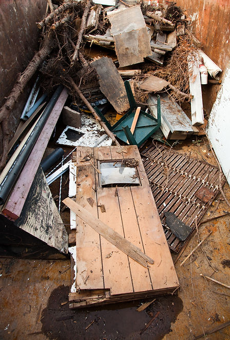 Disposal removal in Wildomar, CA.jpg