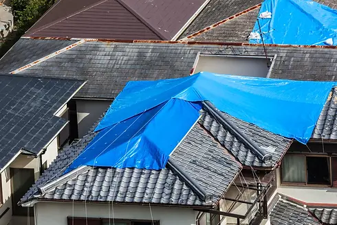 Storm Damage Roof Repair Boise, ID.webp