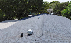 pic of shingle roof.jpg