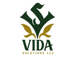 TRANSPARENCIA VIDA SOLUTIONS-01-Photoroom.png