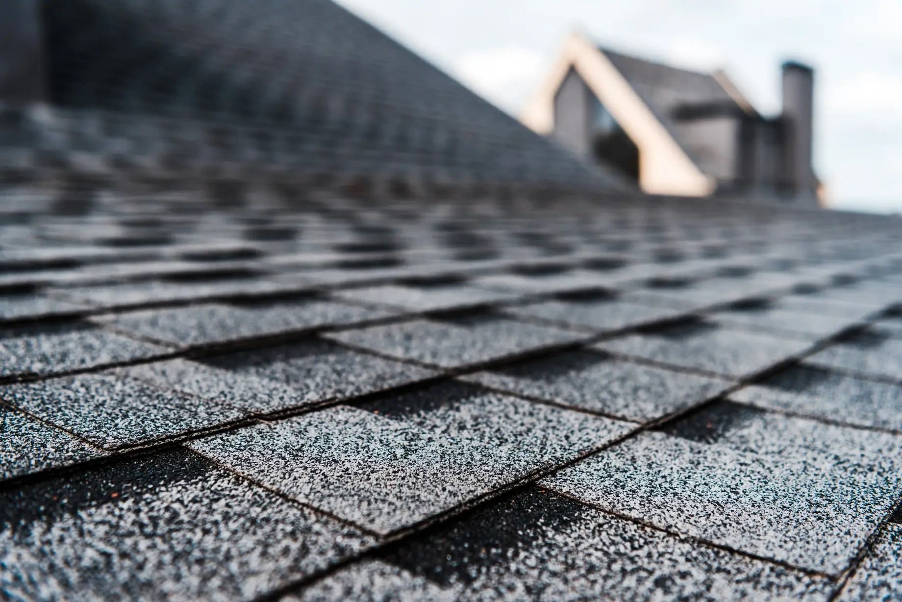 Roofing Company in Boise ID.webp
